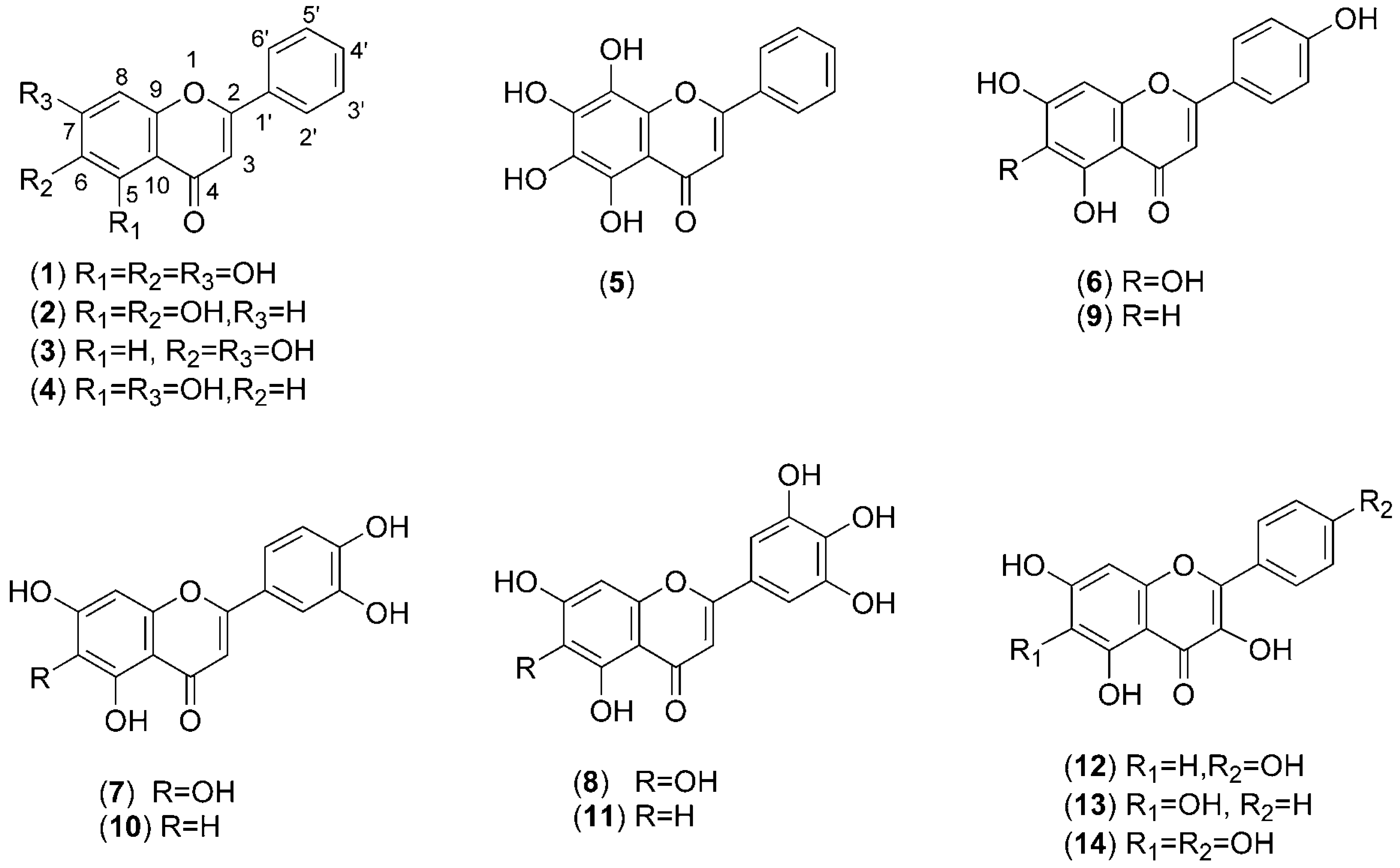 Molecules 12 00086 g001