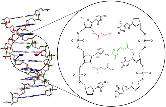 Molecules 12 00114 g002 550
