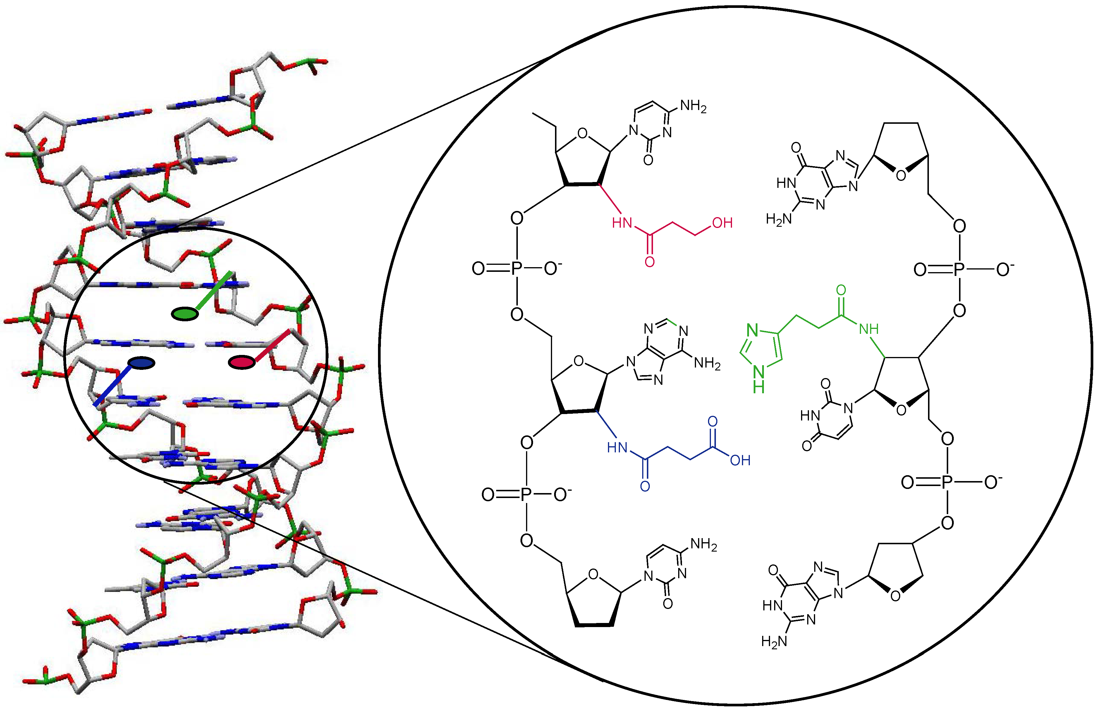 Molecules 12 00114 g002