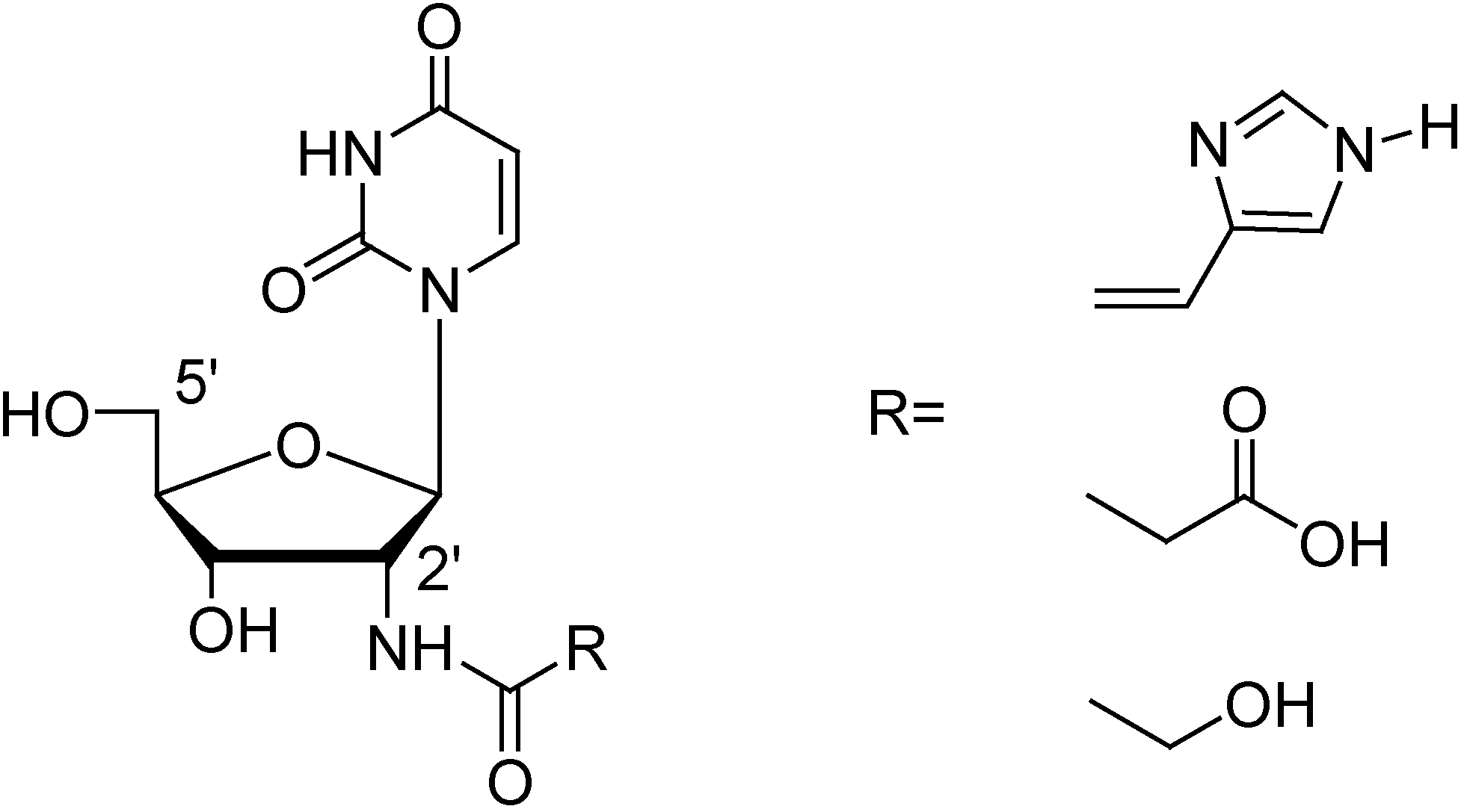 Molecules 12 00114 g003