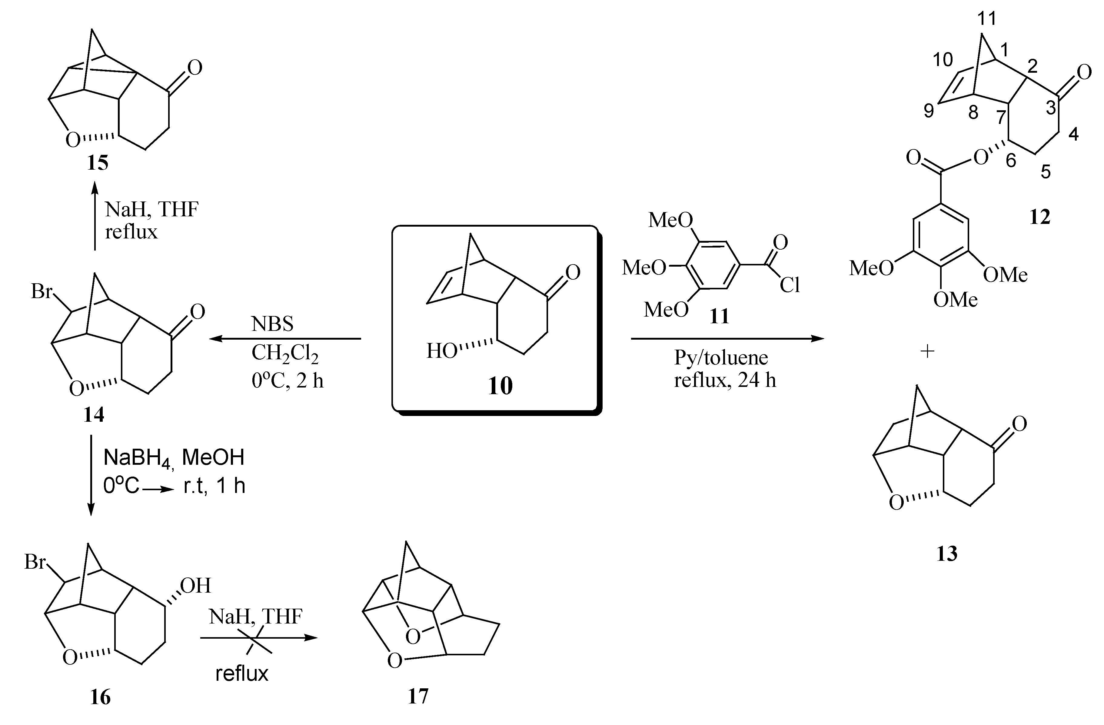 Molecules 12 00271 g007