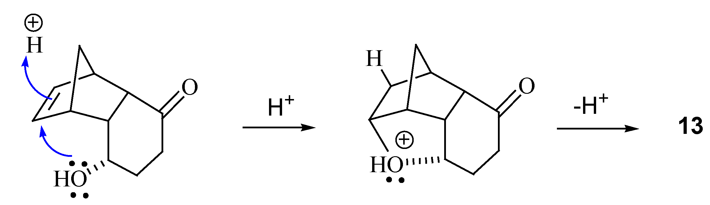 Molecules 12 00271 g008