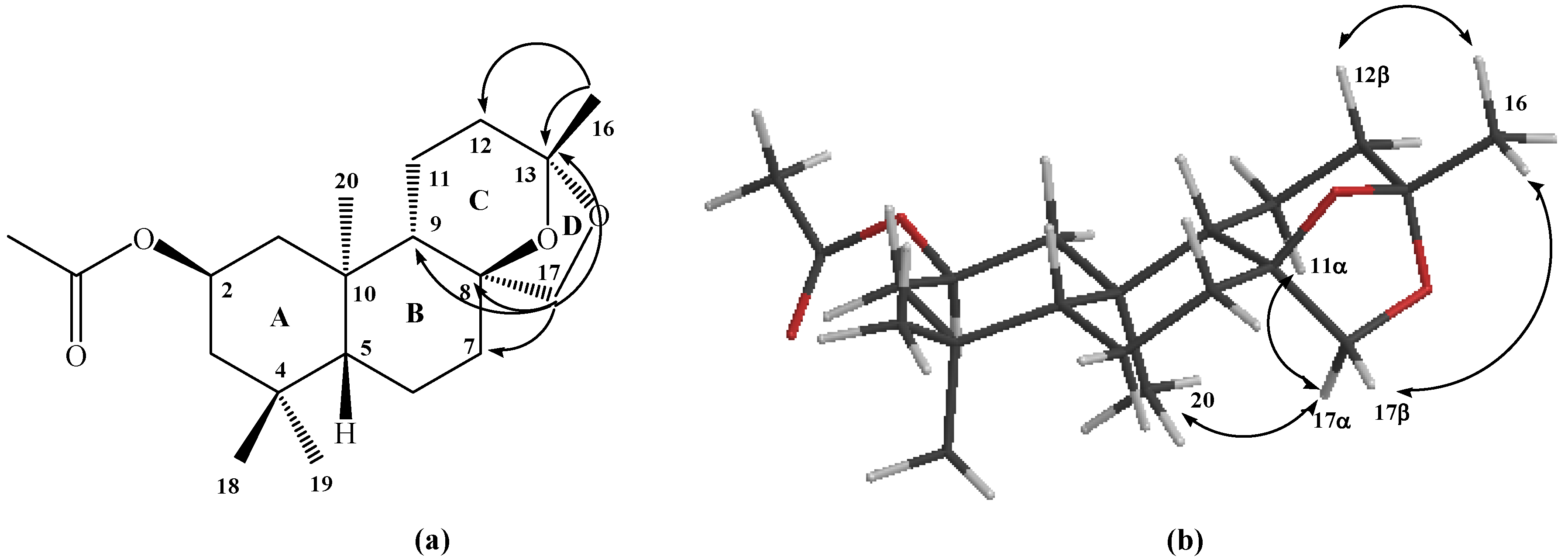 Molecules 12 00318 g002
