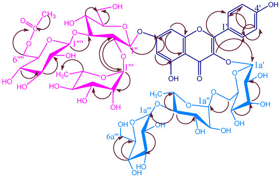 Molecules 12 00328 g003 550
