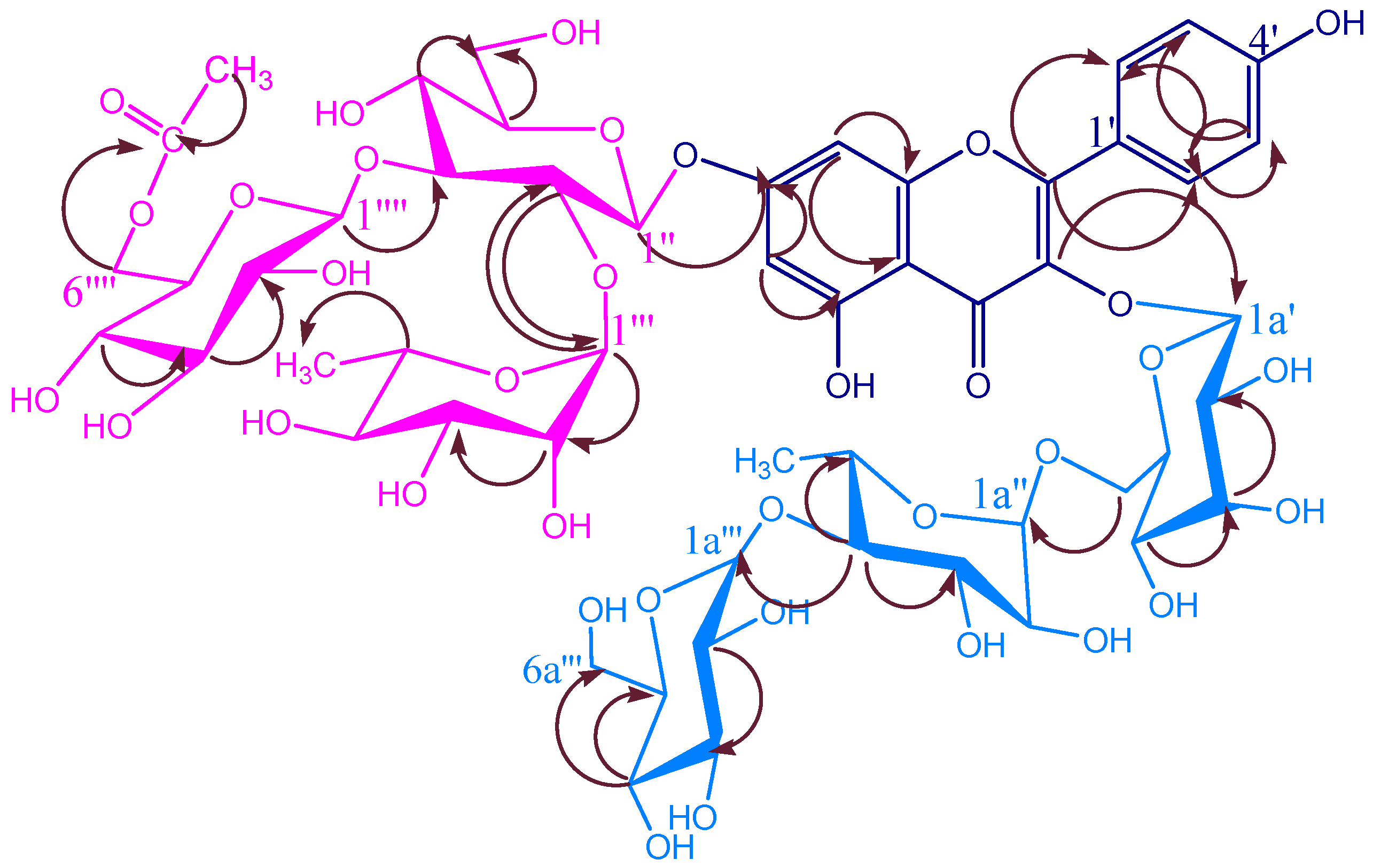 Molecules 12 00328 g003