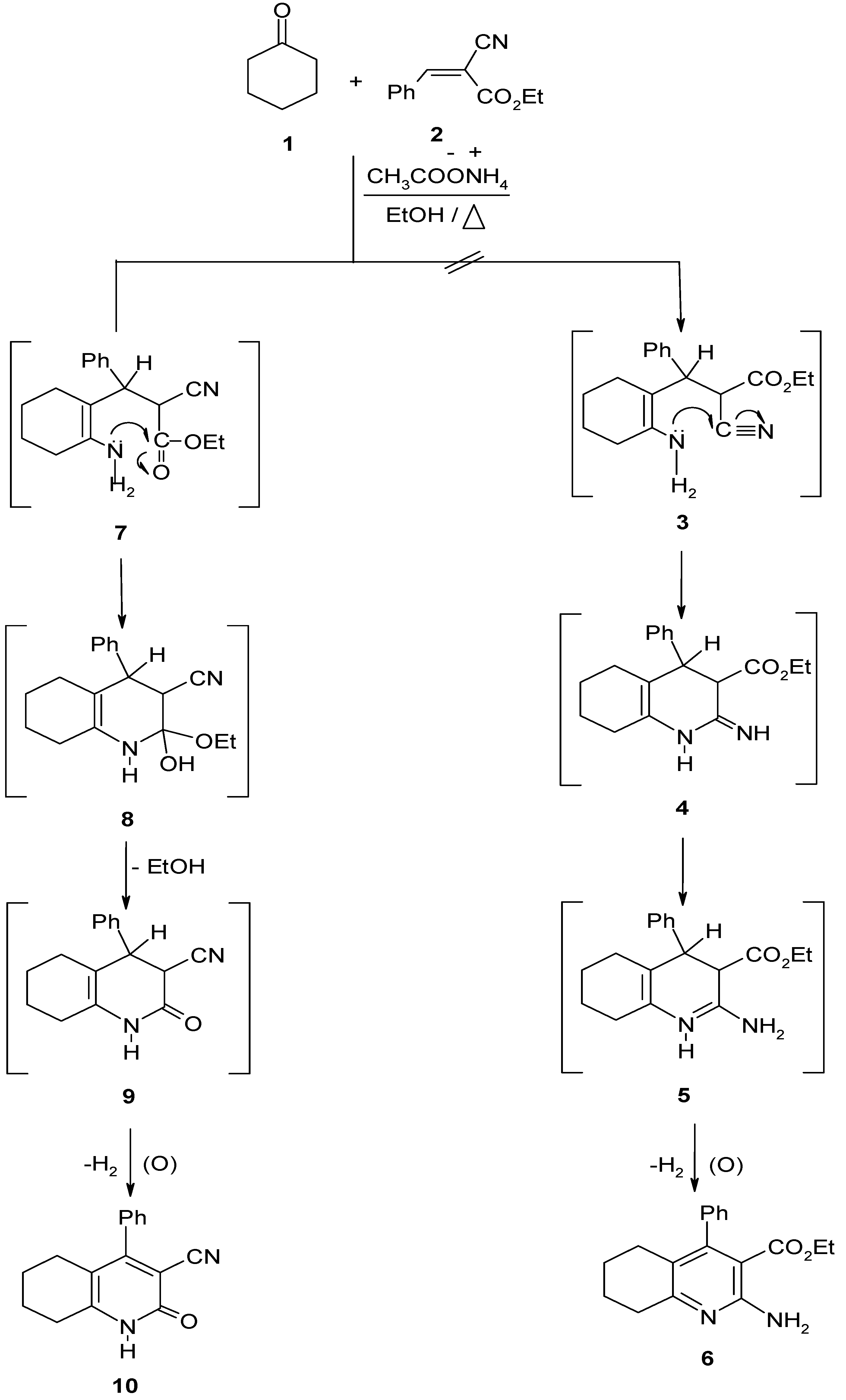 Molecules 12 00361 g002