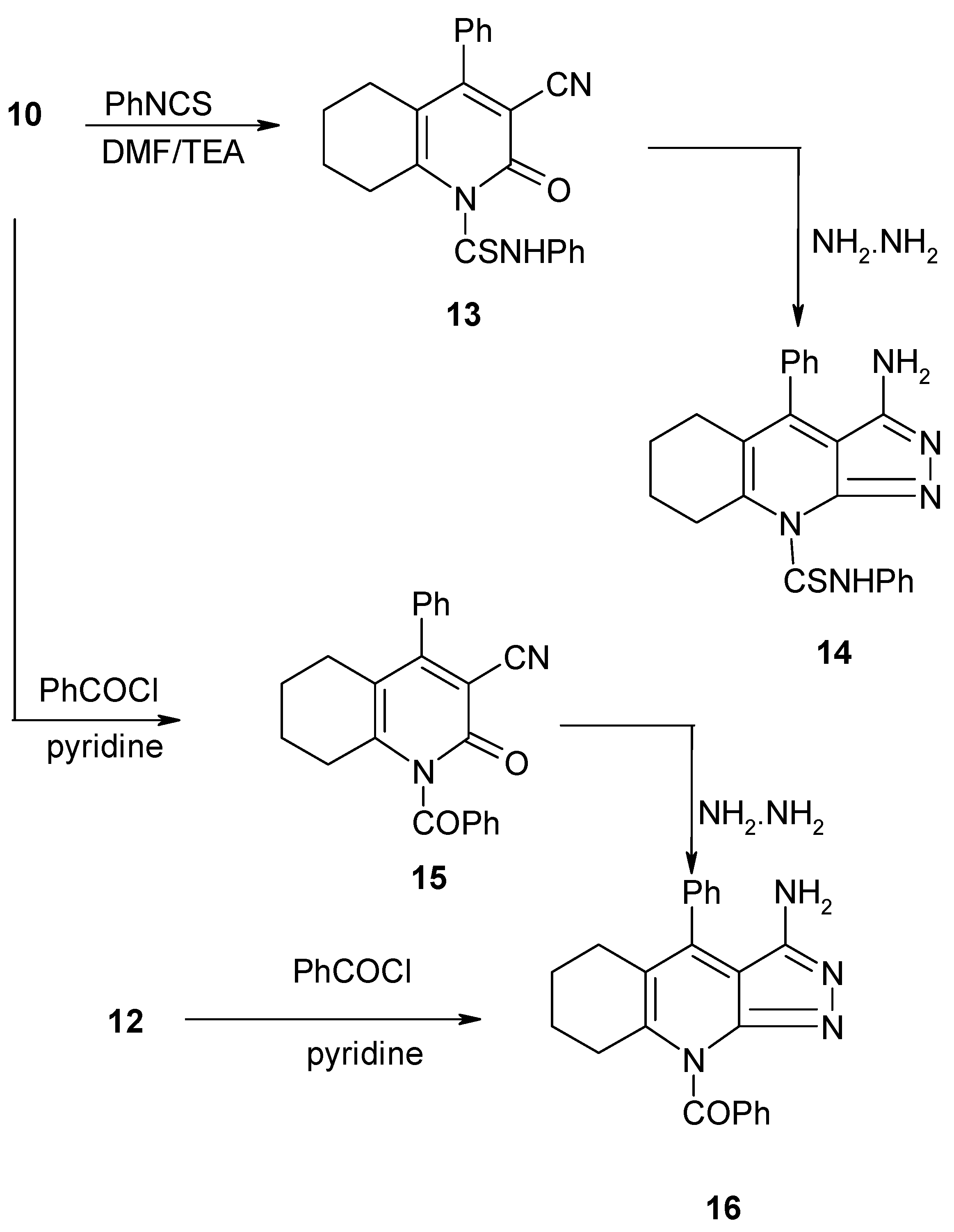 Molecules 12 00361 g004