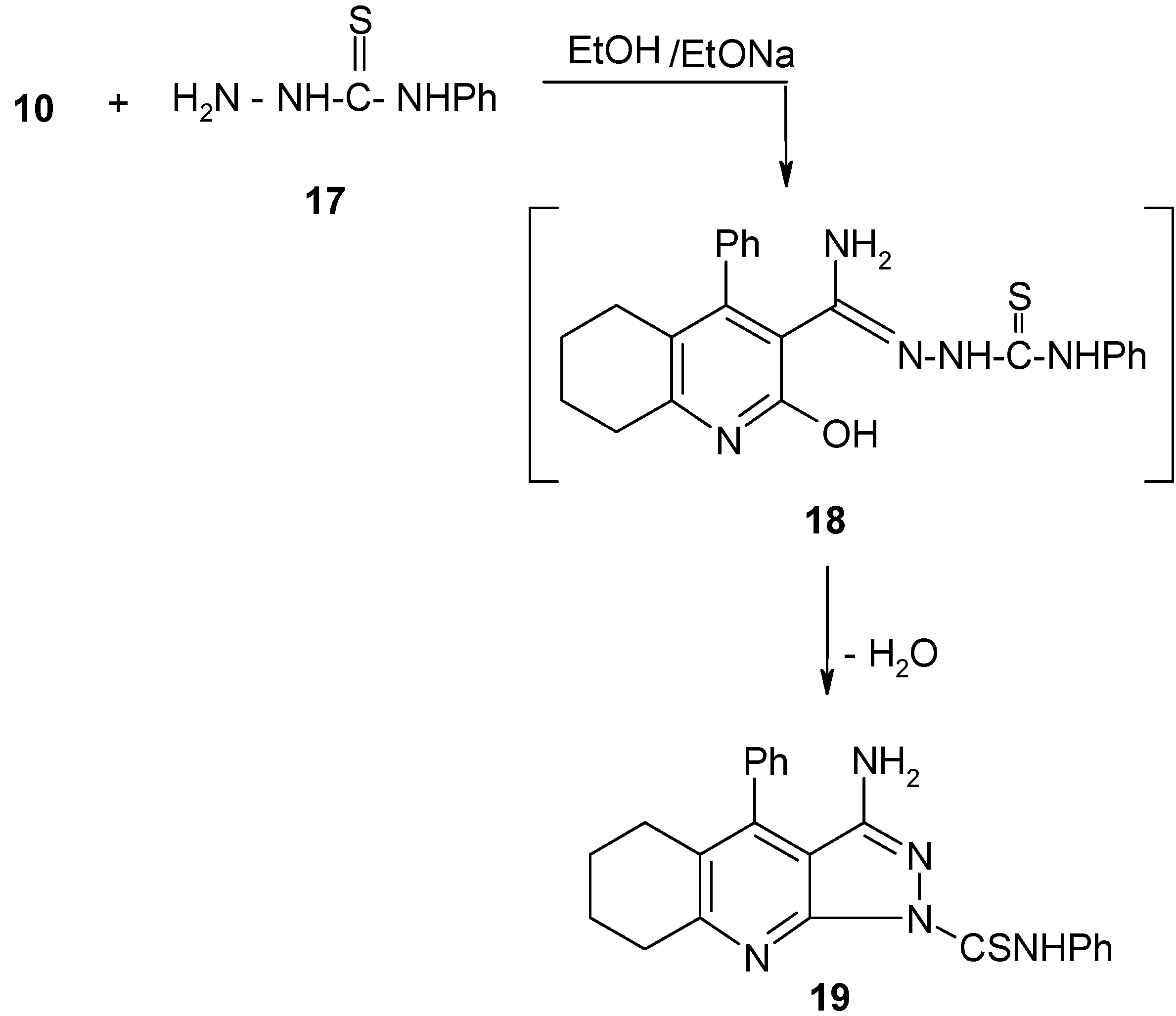 Molecules 12 00361 g005