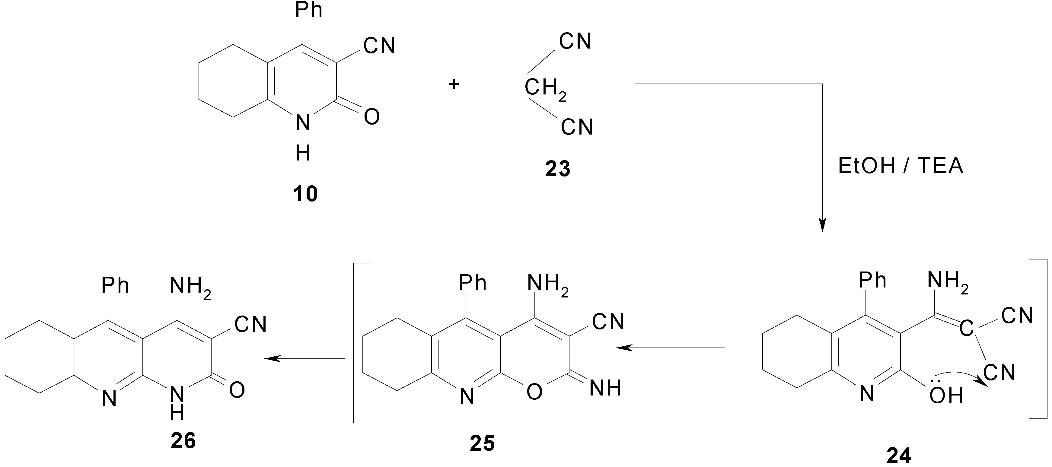 Molecules 12 00361 g007