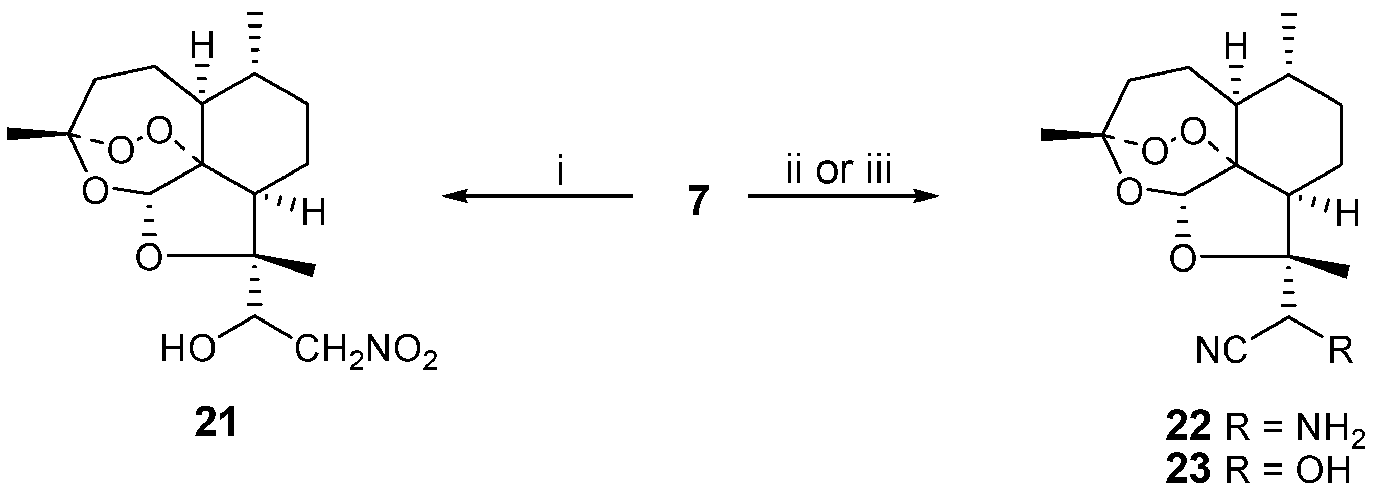 Molecules 12 00395 g005