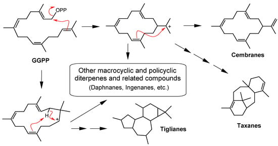 Molecules 12 00455 g001 550