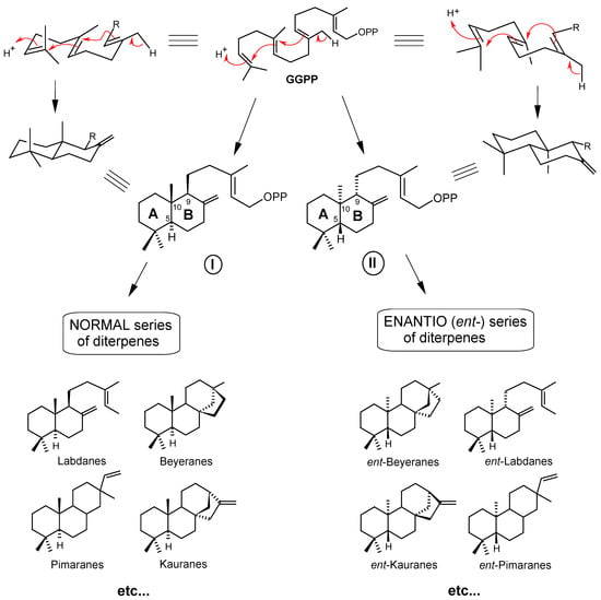 Molecules 12 00455 g002 550