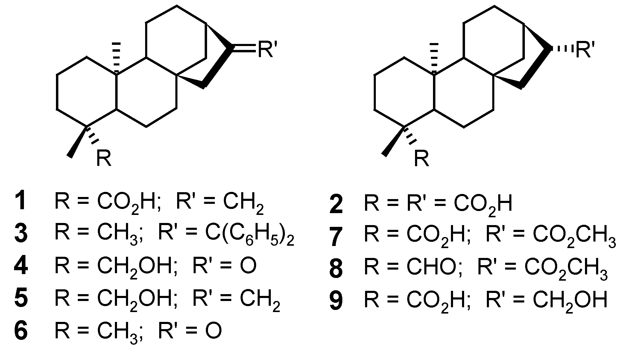 Molecules 12 00455 g004