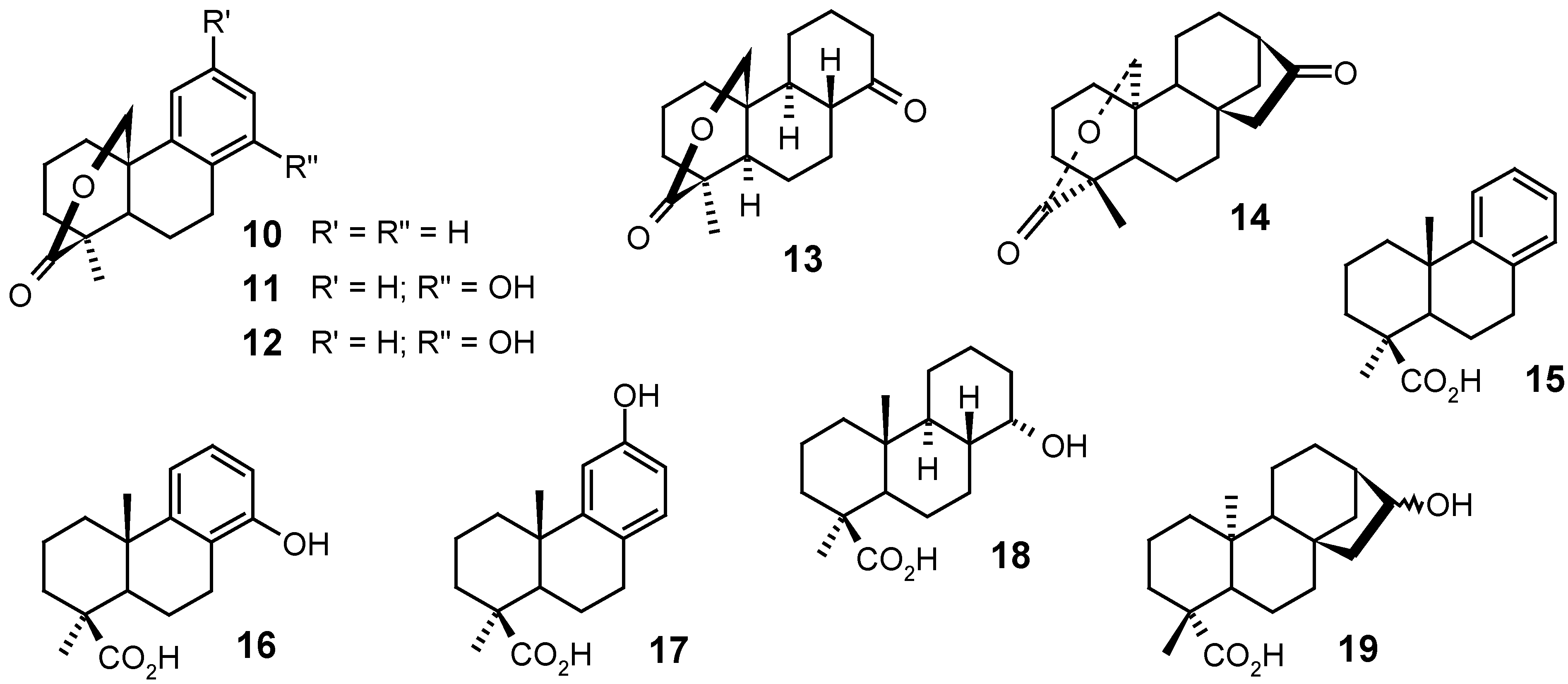 Molecules 12 00455 g005