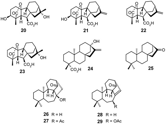 Molecules 12 00455 g006 550