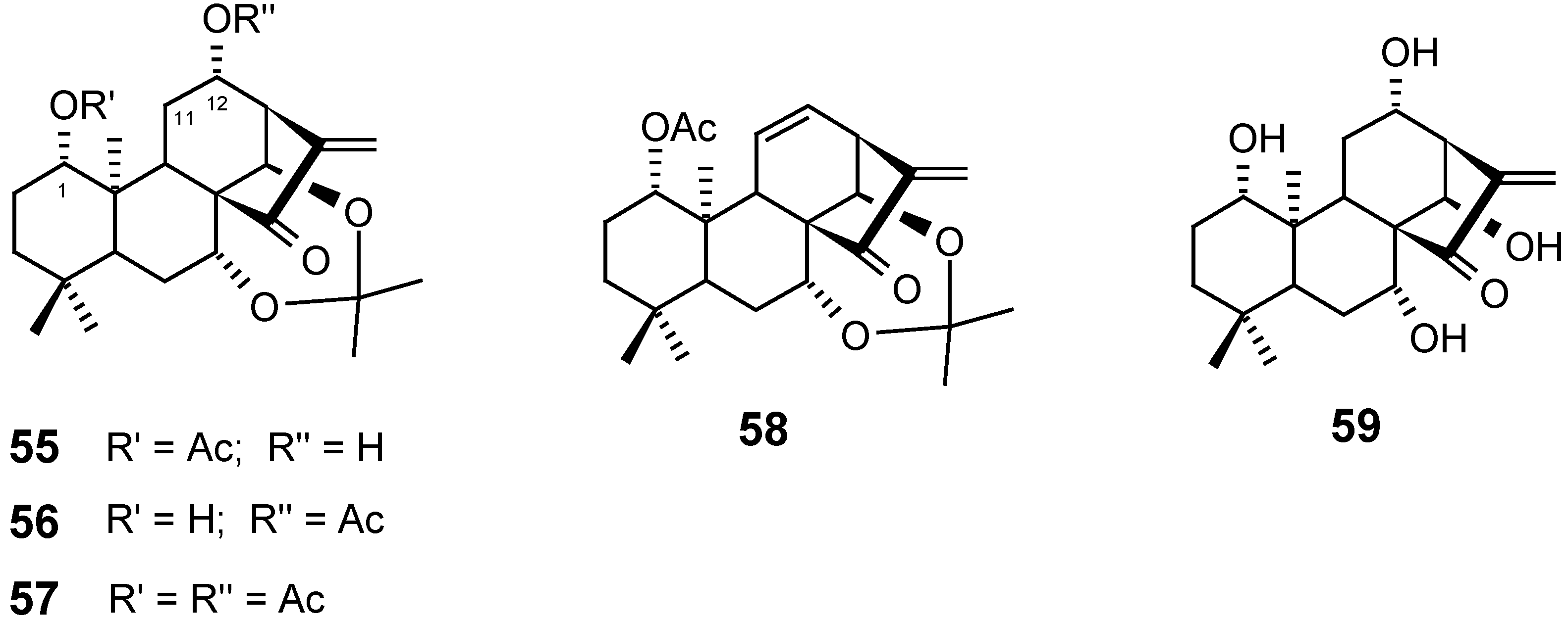Molecules 12 00455 g013