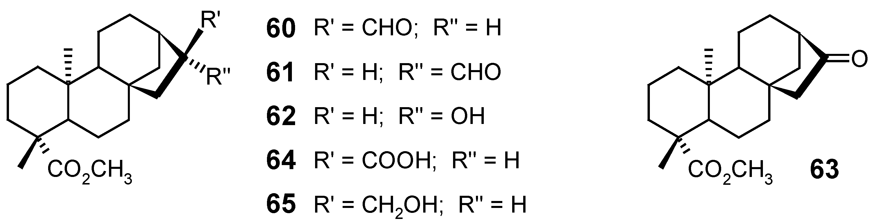 Molecules 12 00455 g014