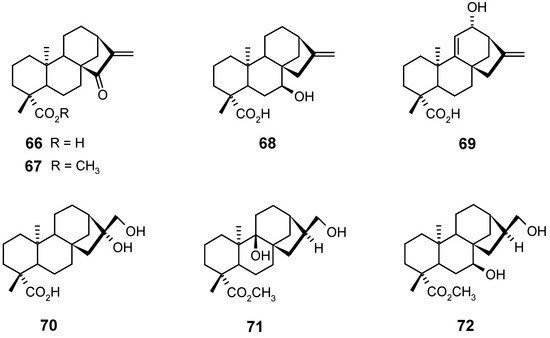 Molecules 12 00455 g015 550