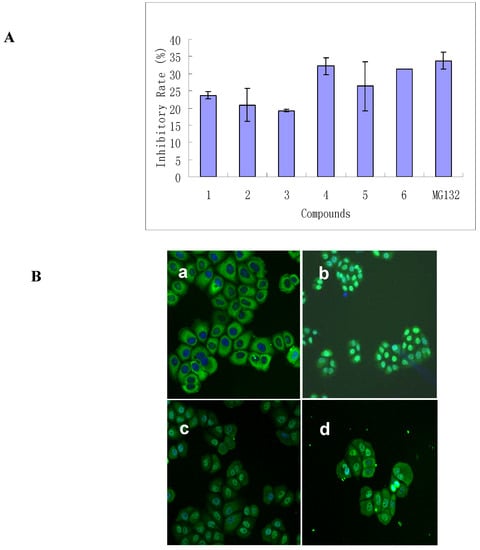 Molecules 12 00582 g002 550