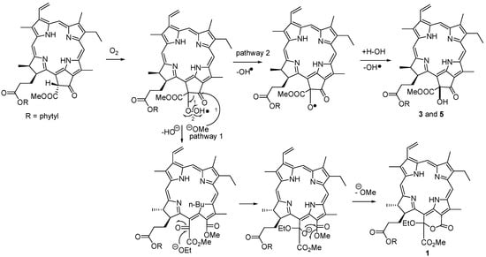 Molecules 12 00582 g004 550