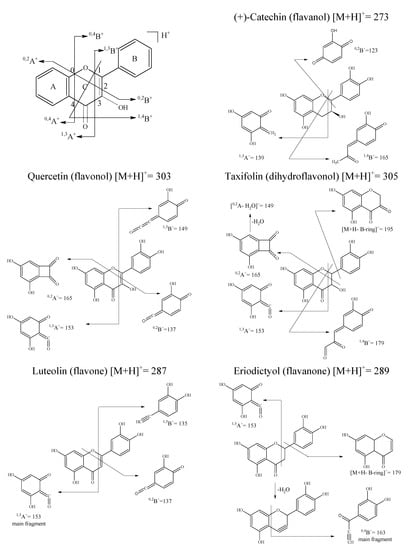 Molecules 12 00593 g005 550