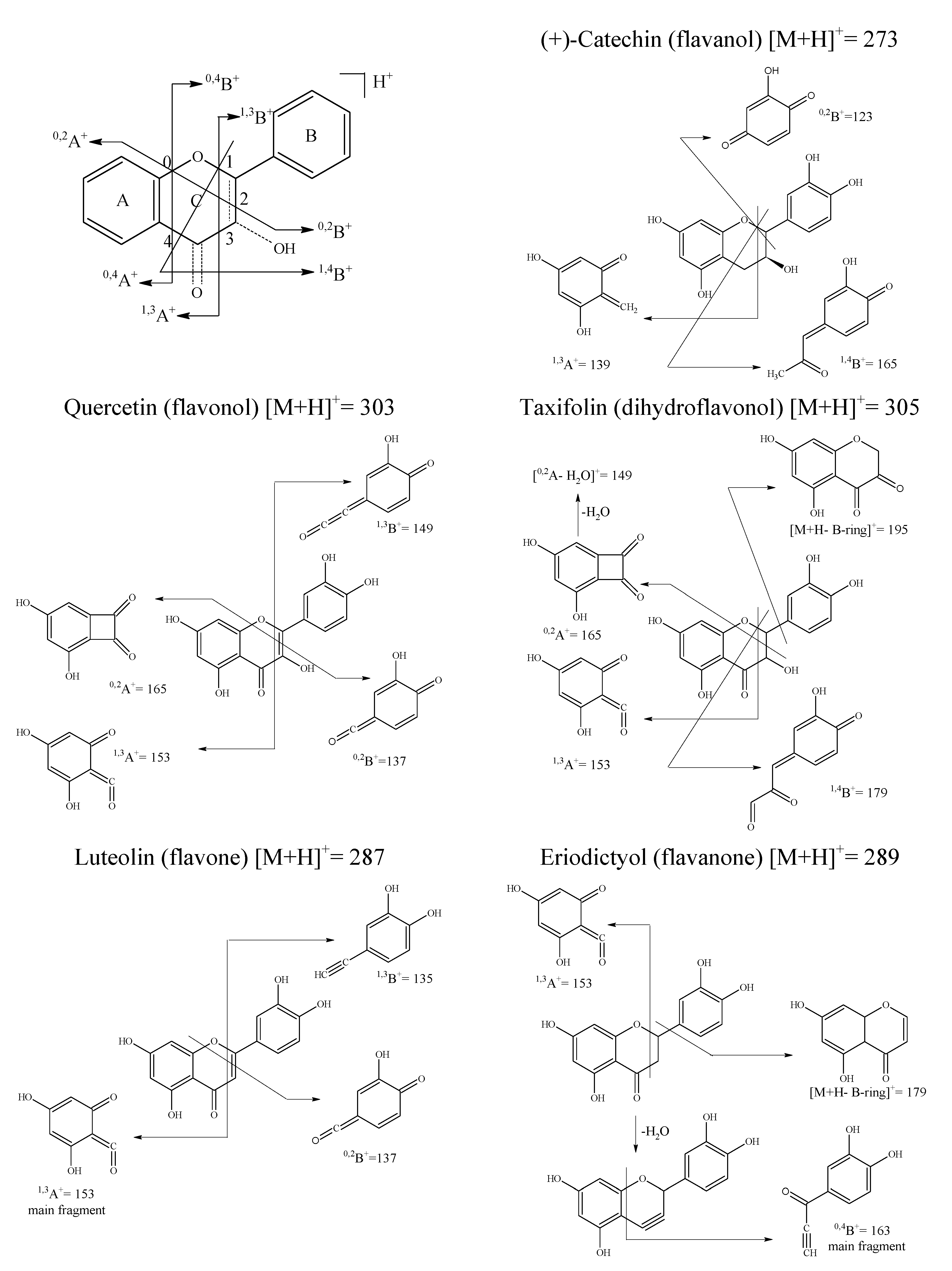 Molecules 12 00593 g005