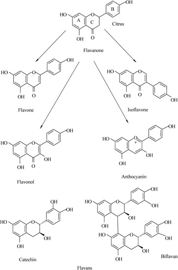 Molecules 12 00745 g001 550