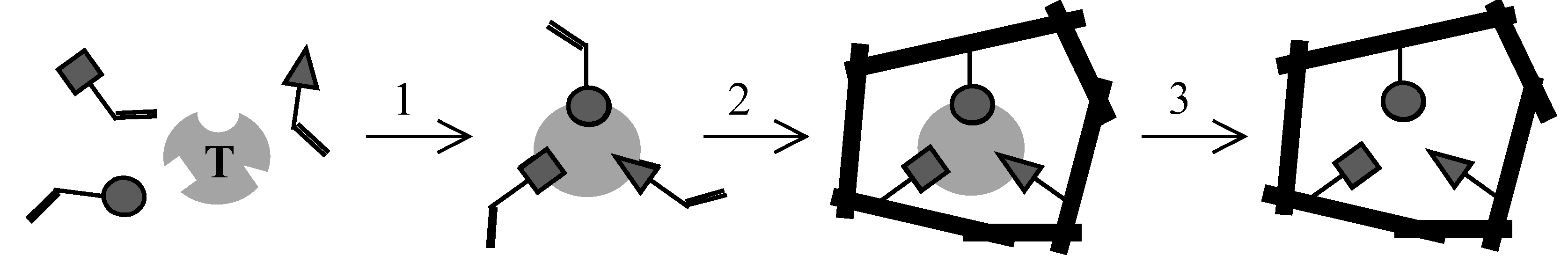 Molecules 12 00805 g001