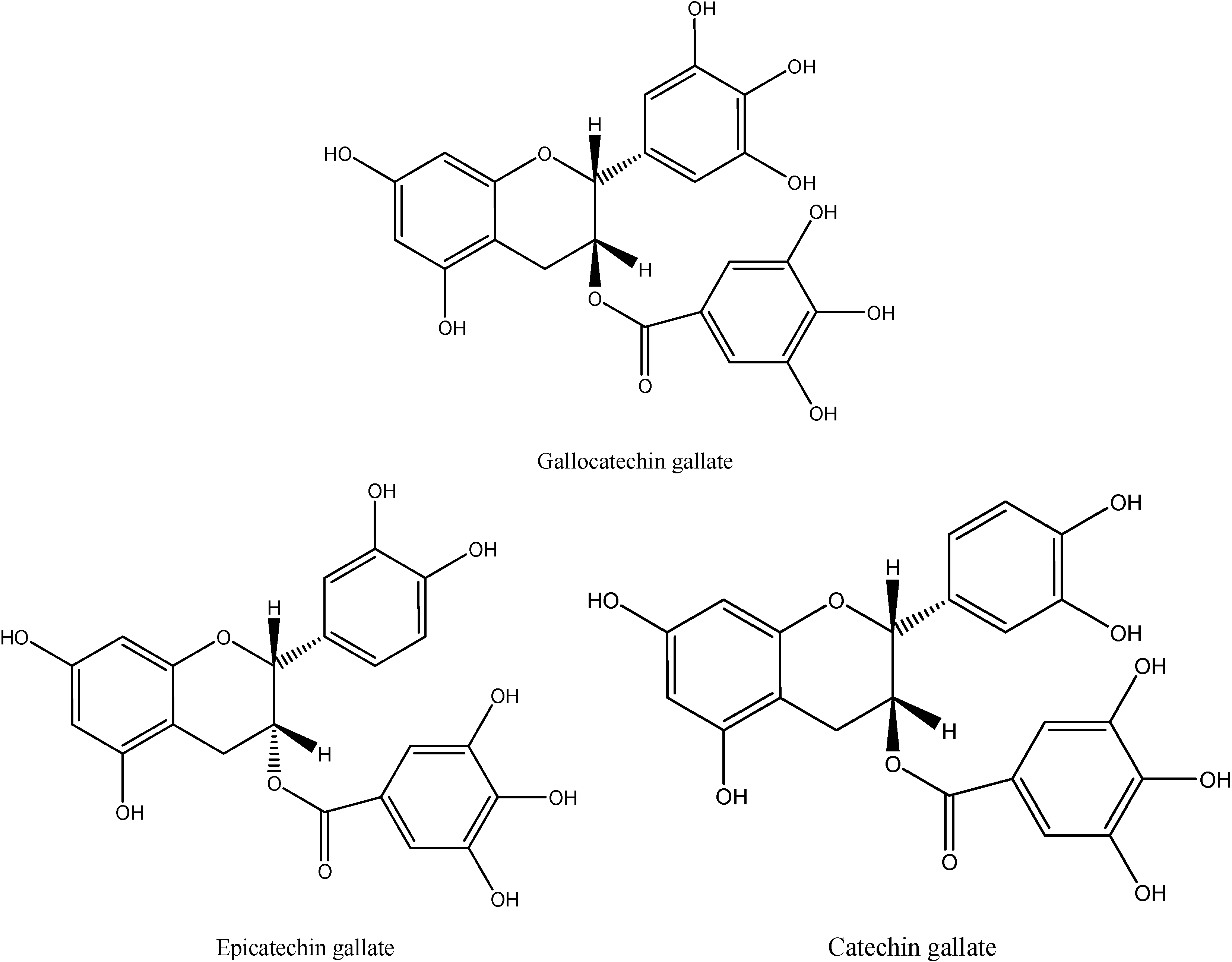 Molecules 12 00842 g002