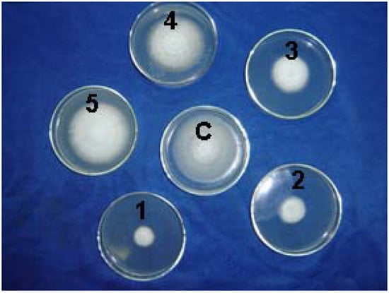 Molecules 12 00965 g001 550