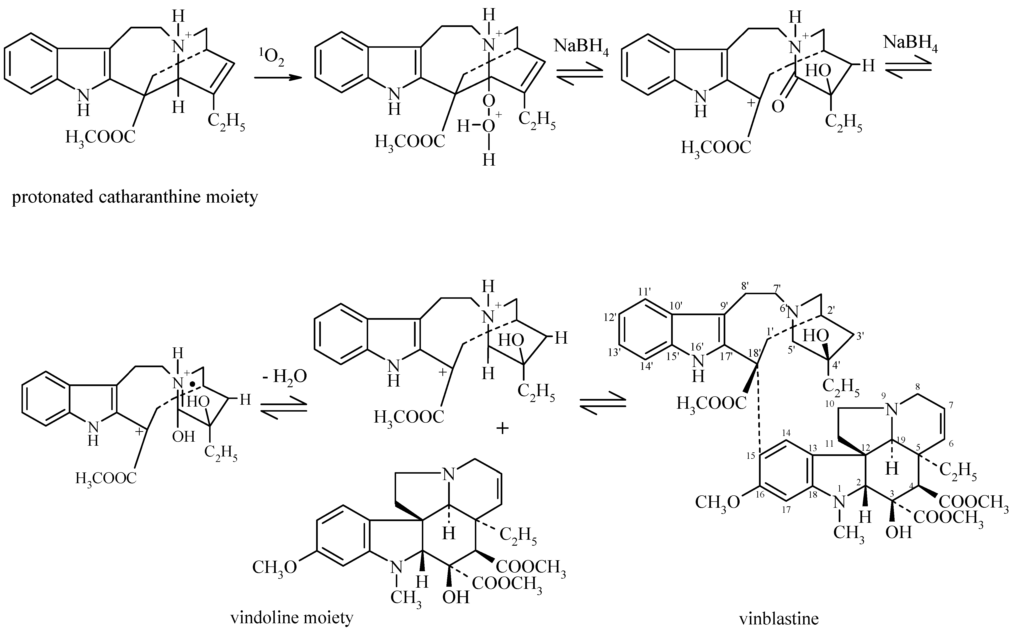 Molecules 12 01307 g003