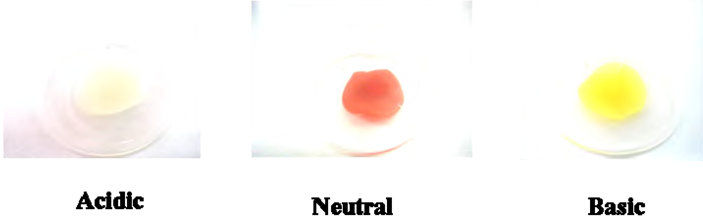 Molecules 12 01316 g004