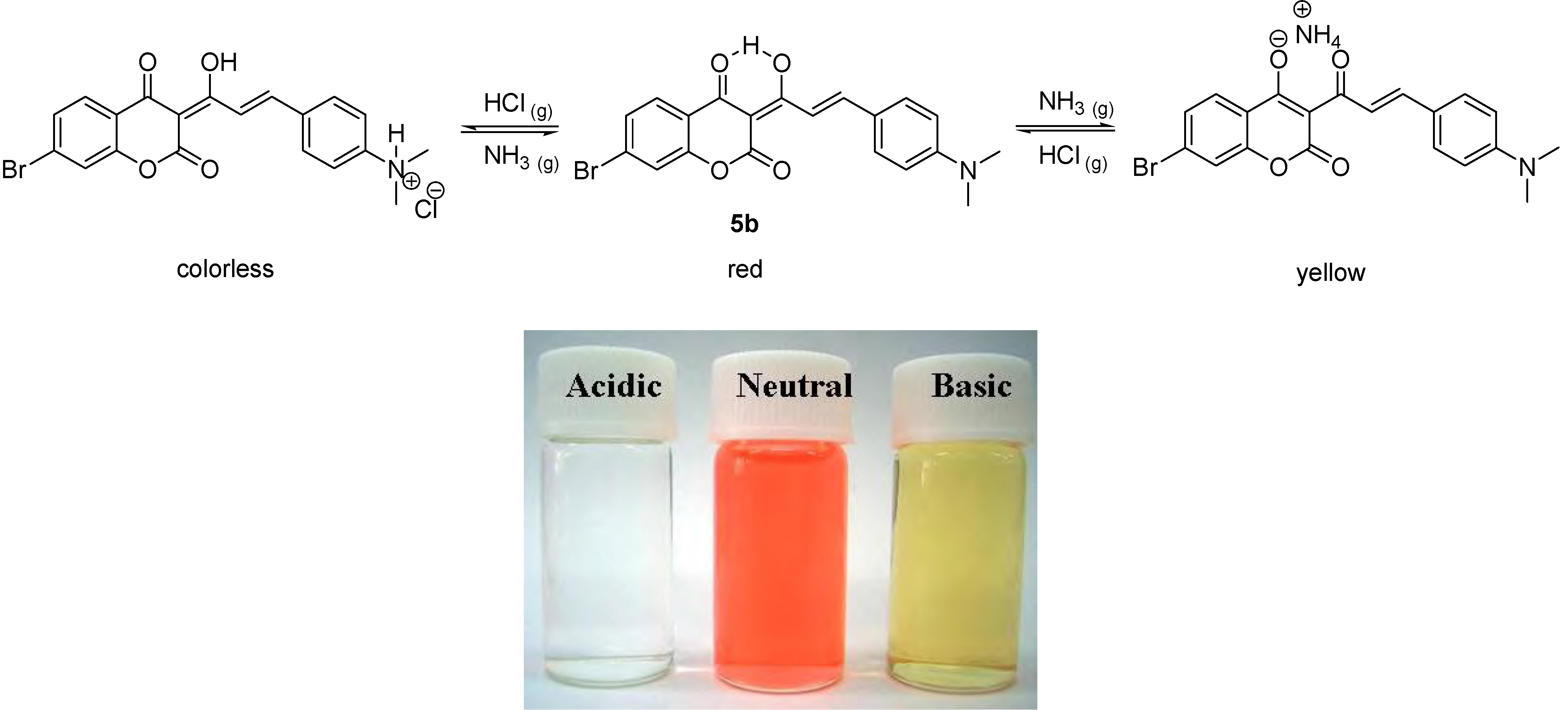Molecules 12 01316 g007