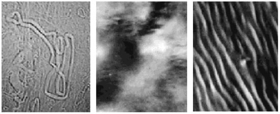 Molecules 12 01731 g006 550