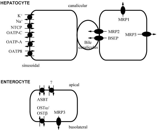 Molecules 12 01859 g003 550