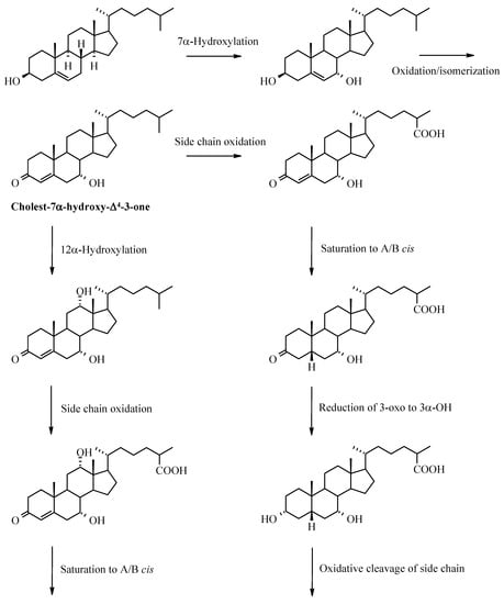 Molecules 12 01859 g011a 550