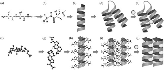 Molecules 12 01973 g006 550