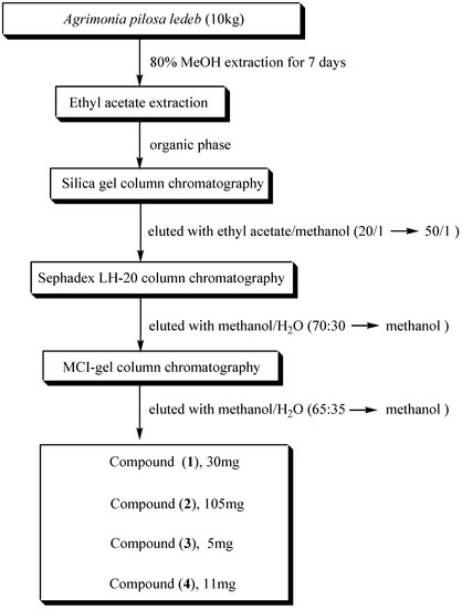 Molecules 12 02130 g001 550