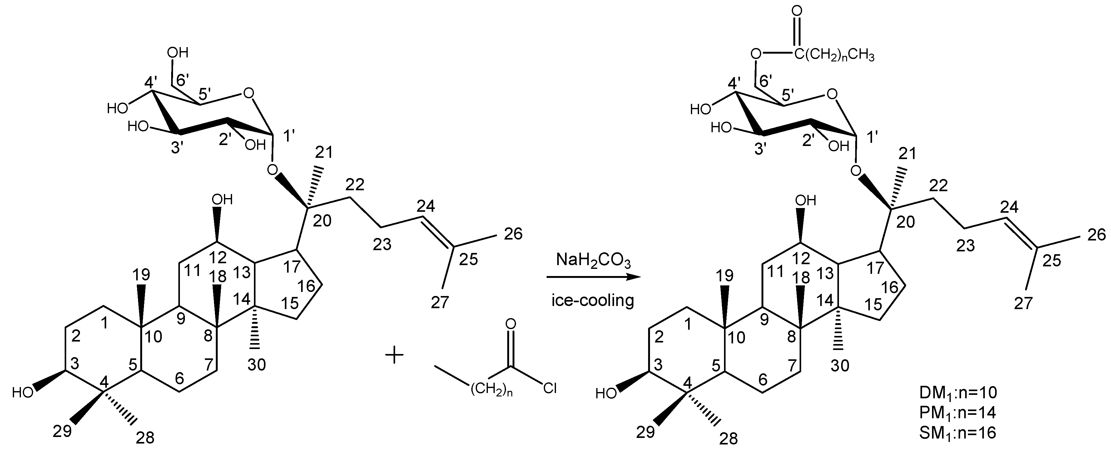 Molecules 12 02140 g004