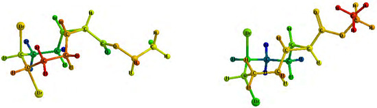 Molecules 12 02427 g001 550