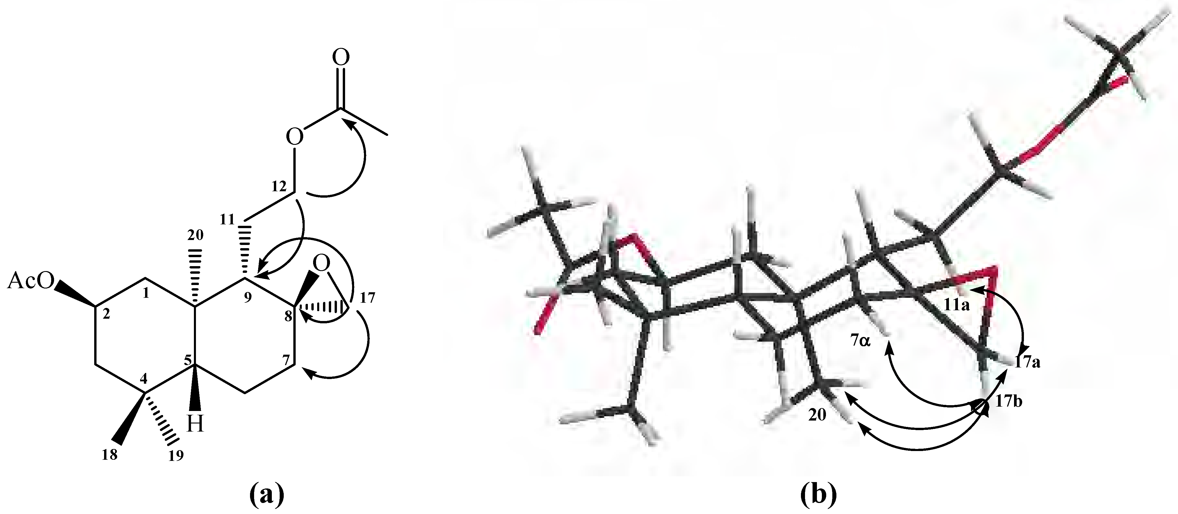Molecules 12 02605 g001