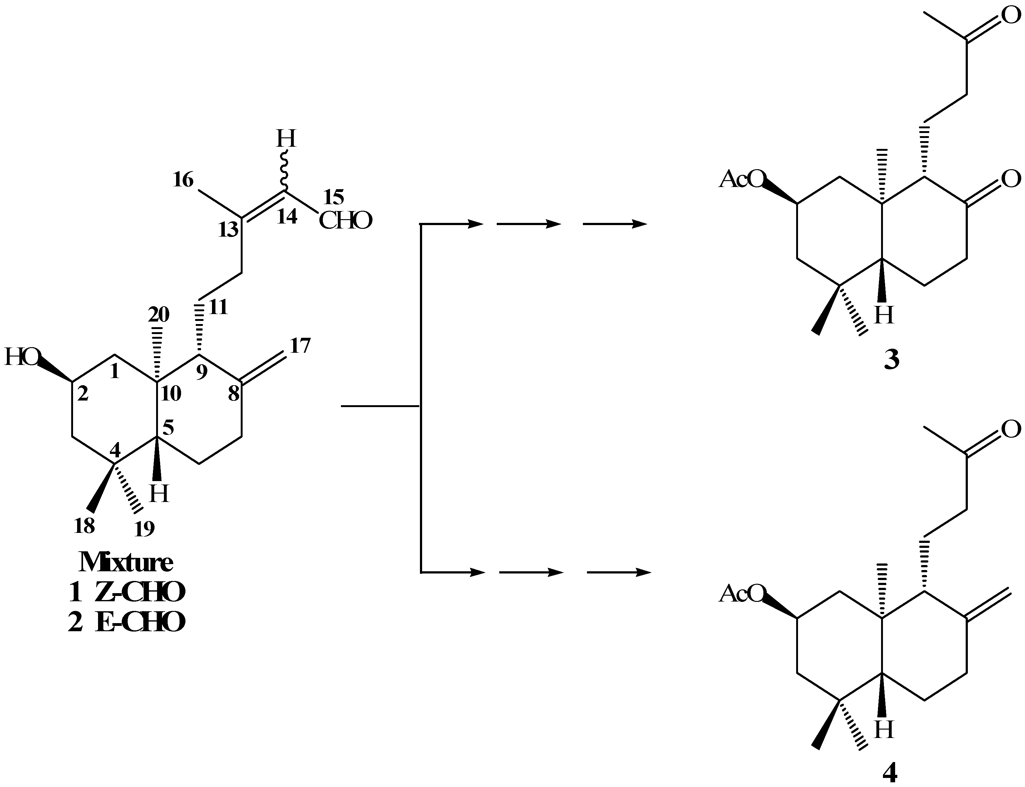 Molecules 12 02605 g004