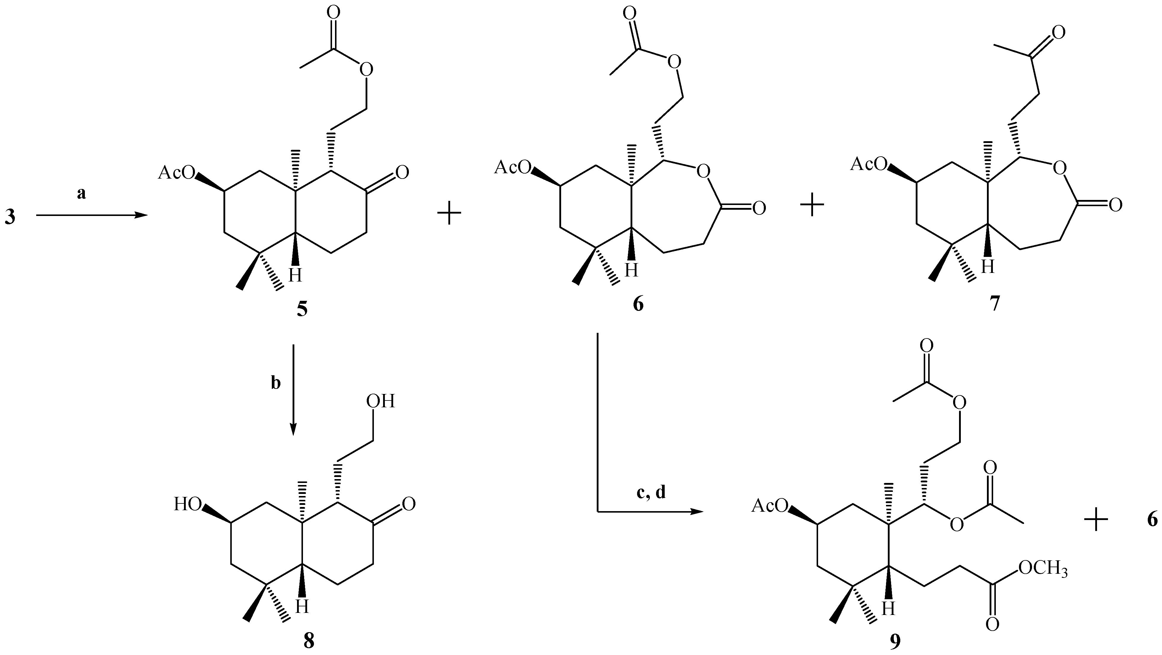 Molecules 12 02605 g005