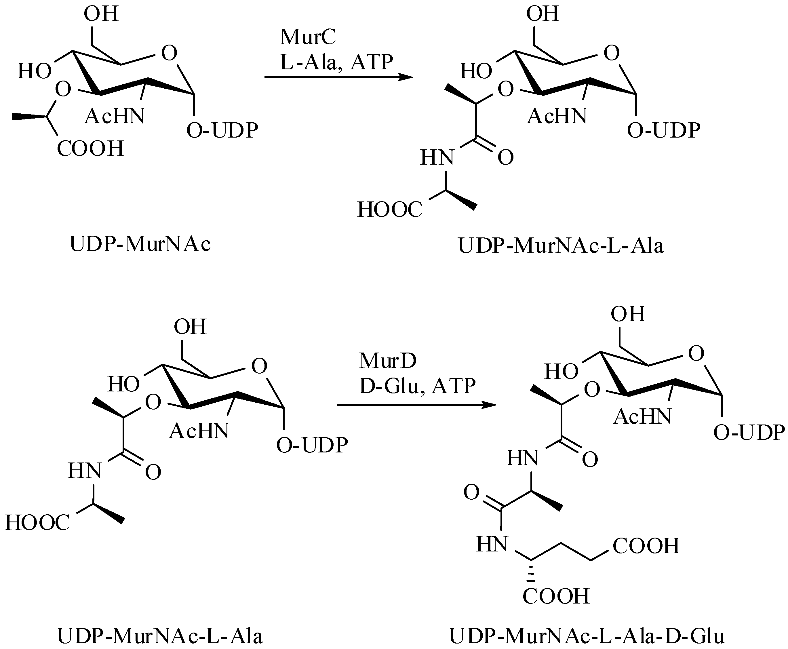Molecules 13 00011 g001