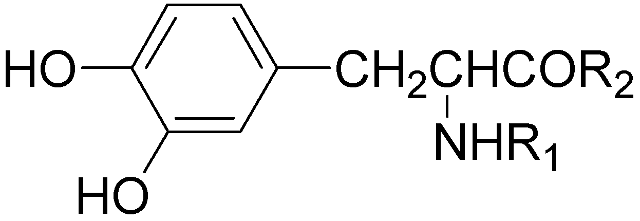 Molecules 13 00046 g004