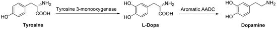 Molecules 13 00046 g021 550
