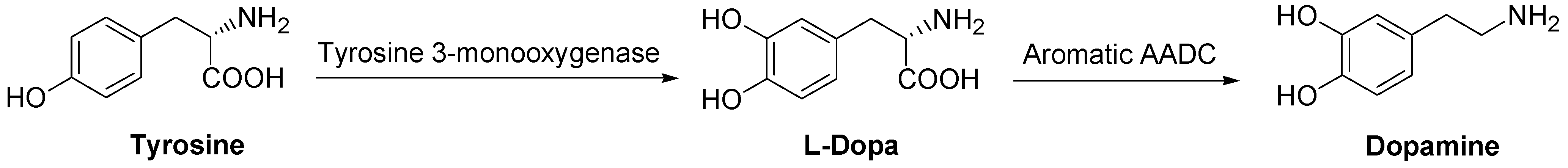 Molecules 13 00046 g021