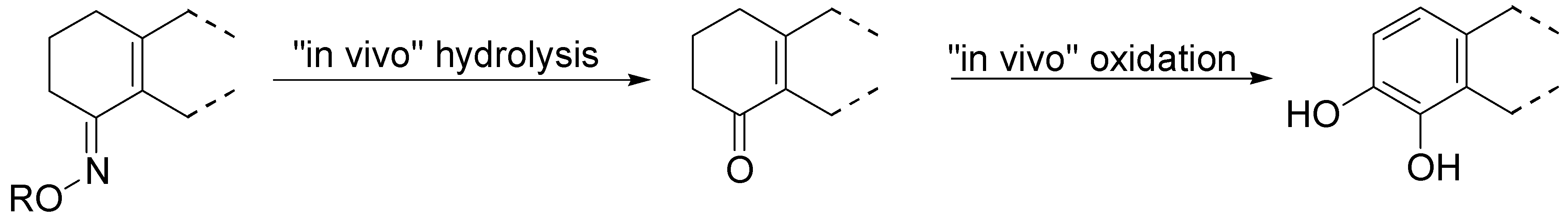 Molecules 13 00046 g023