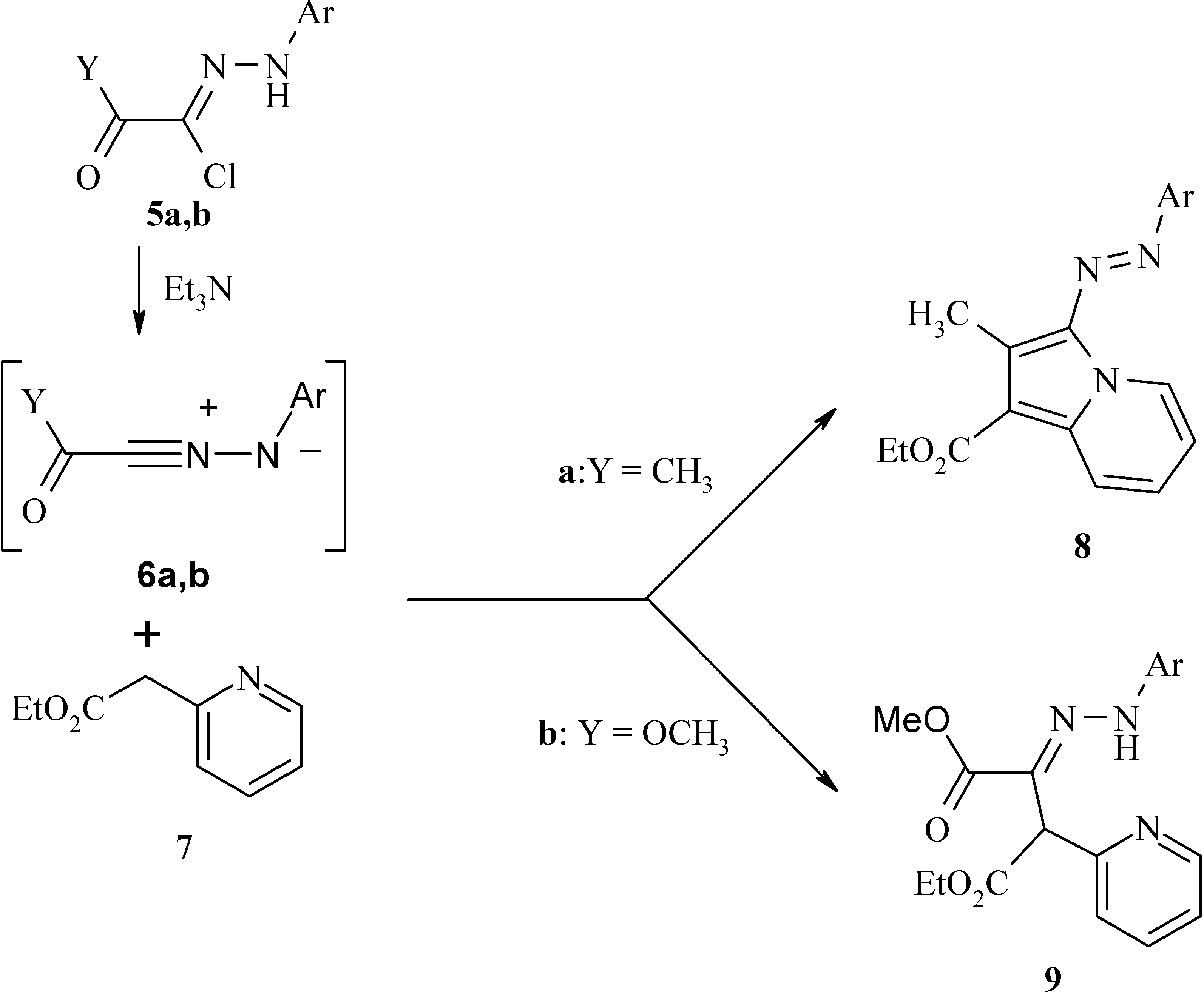 Molecules 13 00170 g002
