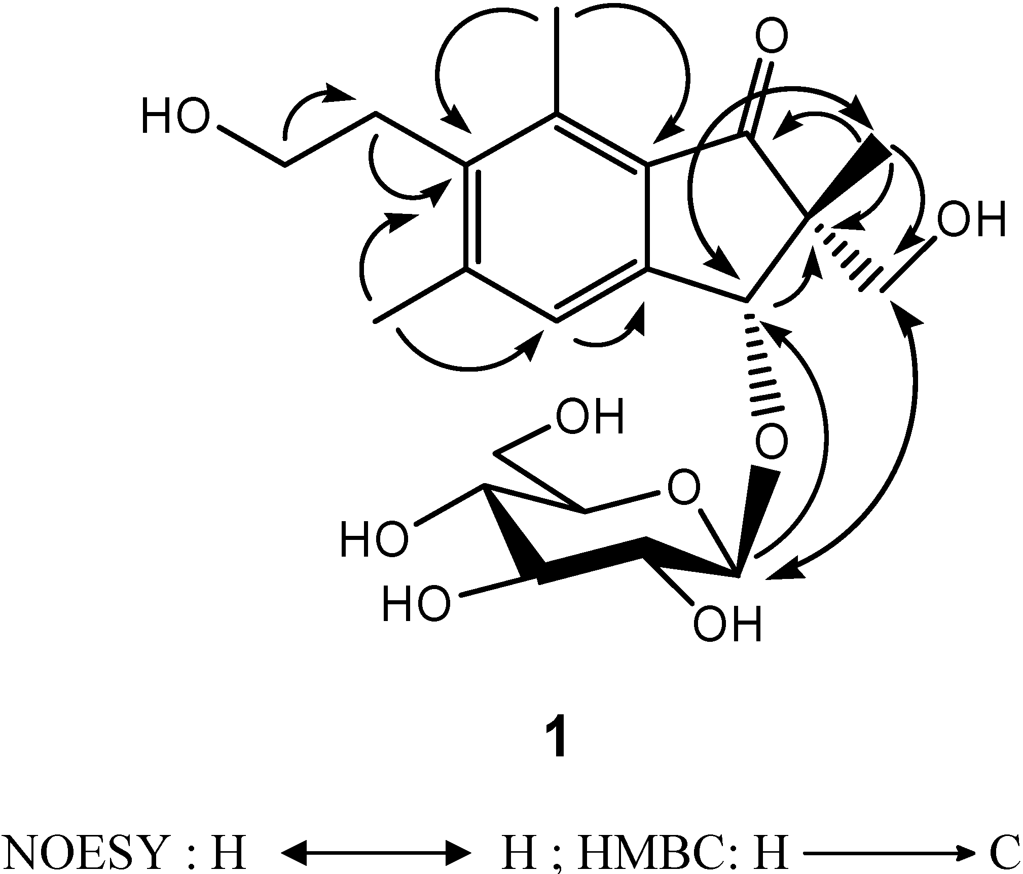 Molecules 13 00255 g002